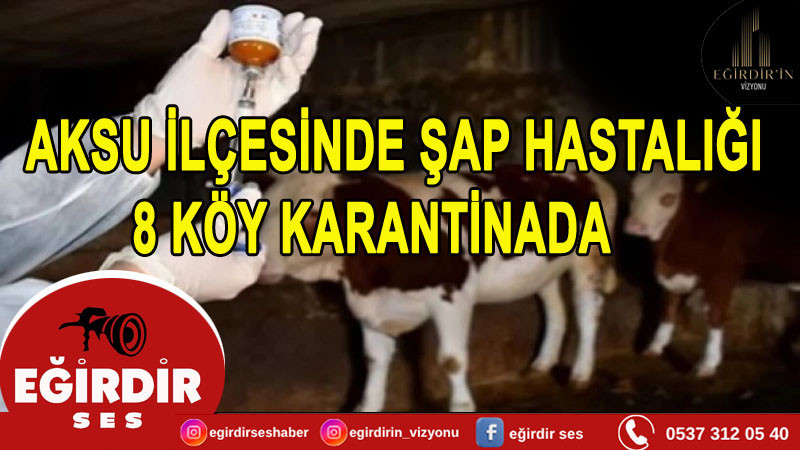 Isparta'nın Aksu İlçesinde  Şap Hastalığı 8 Köy Karantinada