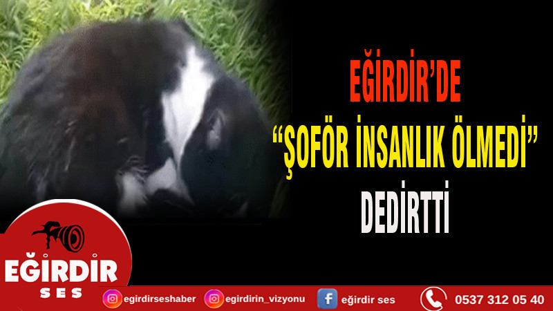 Eğirdir’de “Şoför İnsanlık Ölmedi” Dedirtti