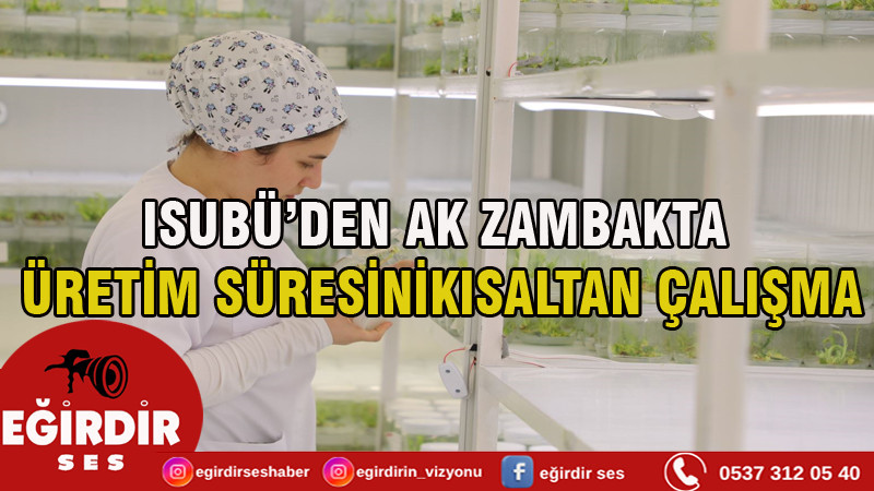 ISUBÜ’DEN AK ZAMBAKTA ÜRETİM SÜRESİNİ KISALTAN ÇALIŞMA