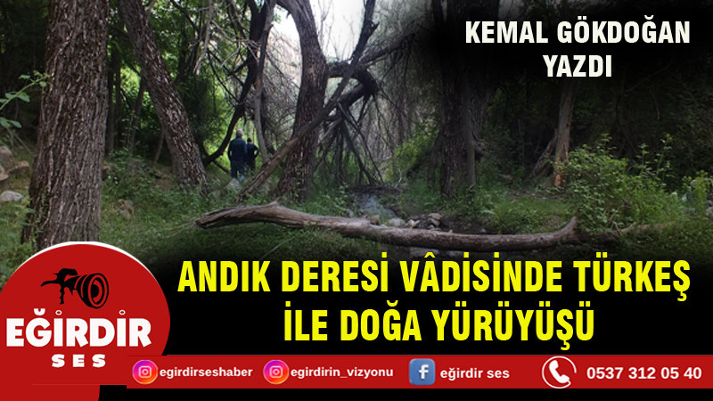 ANDIK DERESİ VÂDİSİNDE TÜRKEŞ İLE DOĞA YÜRÜYÜŞÜ
