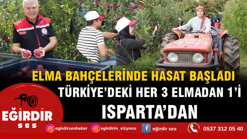 Isparta’da elma hasadı başladı
