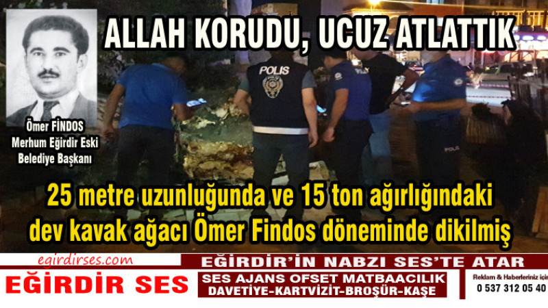 Tonlarca Ağırlıktaki Kavak Ağacı Devrildi 1 Kişi Yaralandı