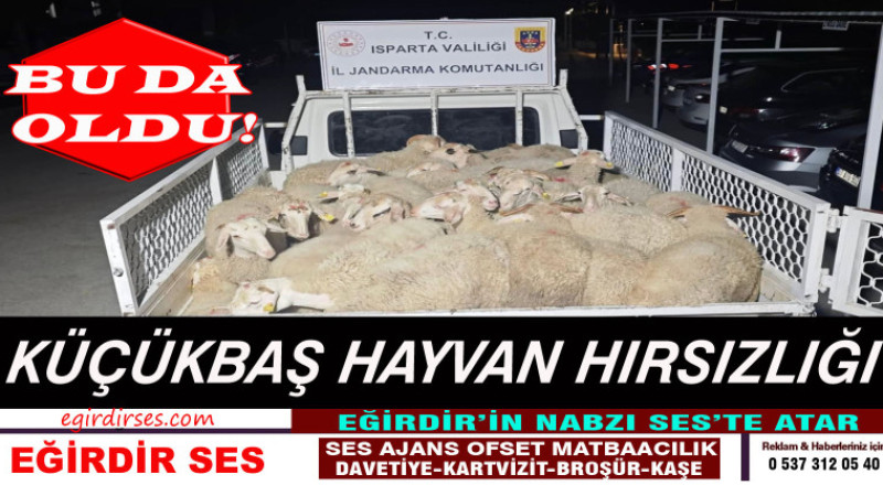 Küçükbaş Hayvan Hırsızlığı