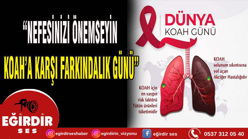 Koah: Milyonları Etkileyen Gizli Tehlike