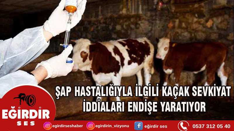 Şap Hastalığıyla İlgili Kaçak Sevkiyat İddiaları Endişe Yaratıyor