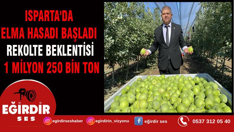 ISPARTA'DA ELMA HASADI BAŞLADI; REKOLTE BEKLENTİSİ 1 MİLYON 250 BİN TON